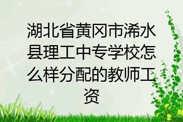 湖北省黄冈市浠水县理工中专学校怎么样分配的教师工资