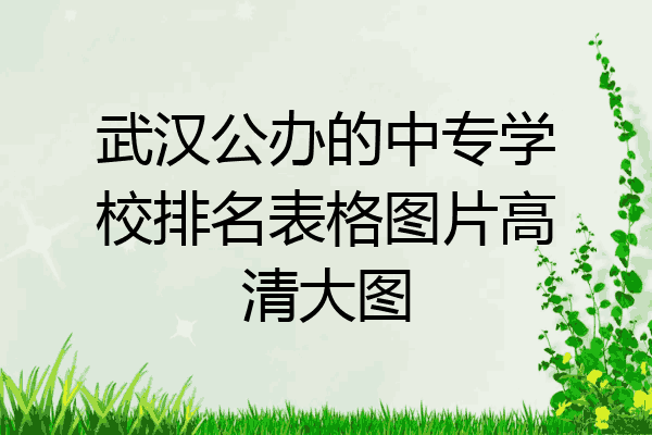 武汉公办的中专学校排名表格图片高清大图