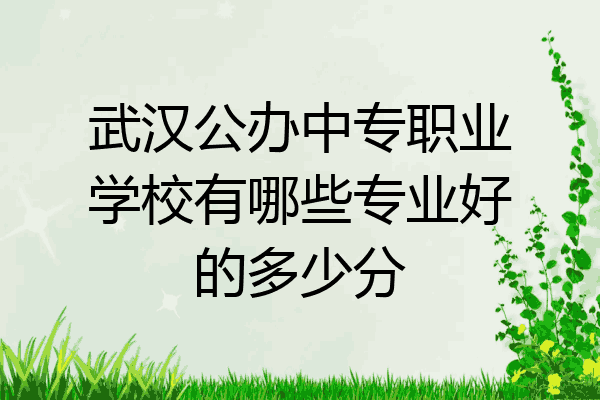 武汉公办中专职业学校有哪些专业好的多少分