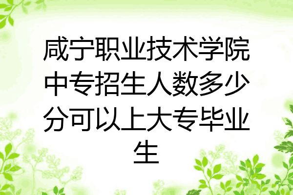 咸宁职业技术学院中专招生人数多少分可以上大专毕业生