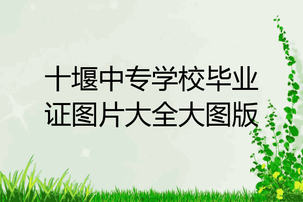 十堰中专学校毕业证图片大全大图版