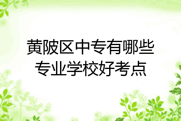 黄陂区中专有哪些专业学校好考点