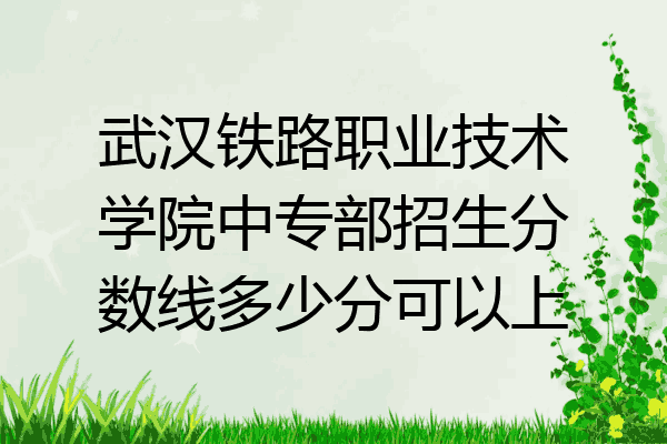 武汉铁路职业技术学院中专部招生分数线多少分可以上