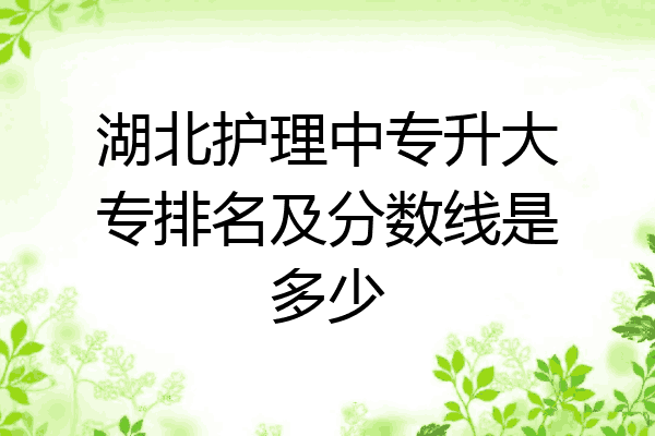 湖北护理中专升大专排名及分数线是多少