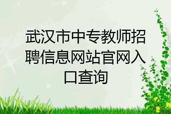 武汉市中专教师招聘信息网站官网入口查询