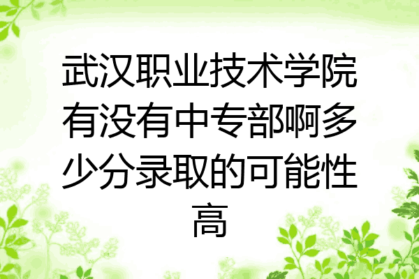 武汉职业技术学院有没有中专部啊多少分录取的可能性高