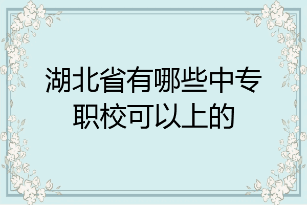 湖北省有哪些中专职校可以上的