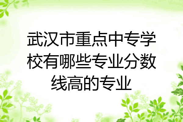 武汉市重点中专学校有哪些专业分数线高的专业