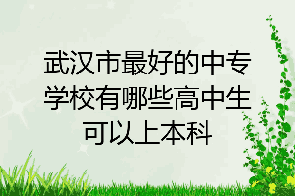 武汉市最好的中专学校有哪些高中生可以上本科