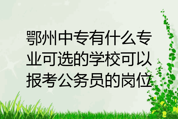 鄂州中专有什么专业可选的学校可以报考公务员的岗位