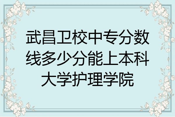 武昌卫校中专分数线多少分能上本科大学护理学院