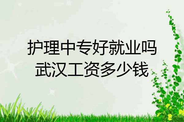 护理中专好就业吗武汉工资多少钱