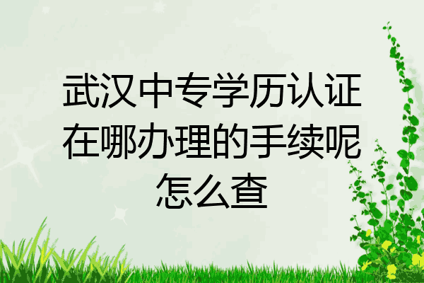 武汉中专学历认证在哪办理的手续呢怎么查