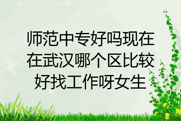 师范中专好吗现在在武汉哪个区比较好找工作呀女生