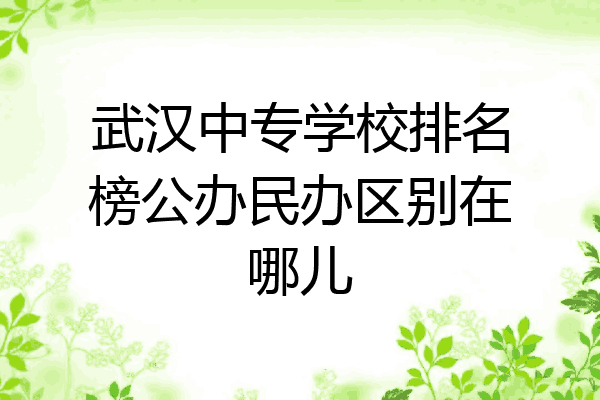 武汉中专学校排名榜公办民办区别在哪儿