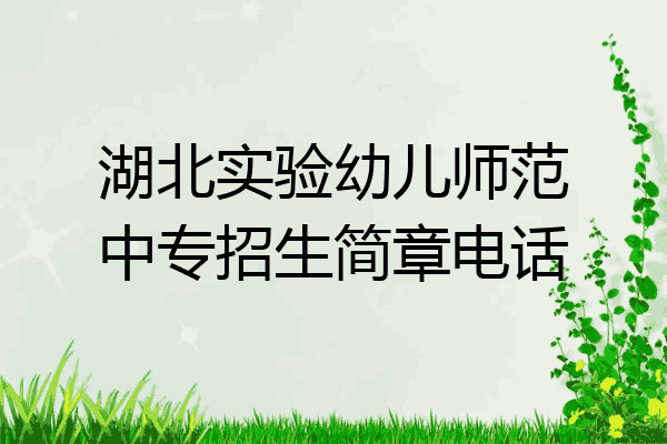 湖北实验幼儿师范中专招生简章电话