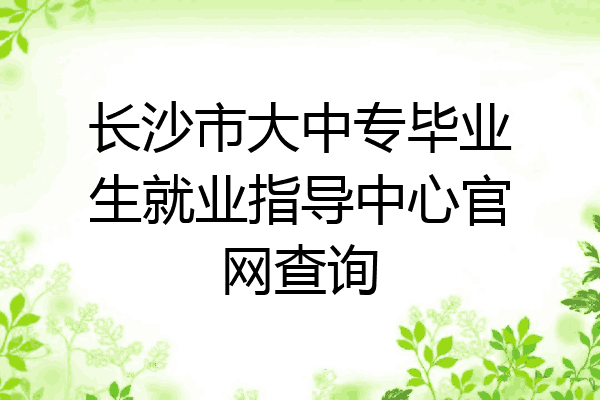 长沙市大中专毕业生就业指导中心官网查询