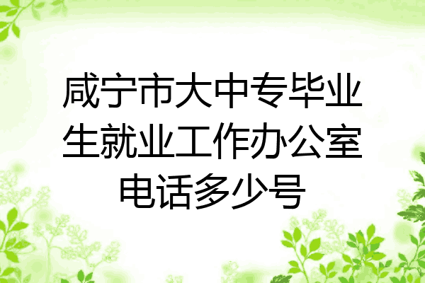 咸宁市大中专毕业生就业工作办公室电话多少号