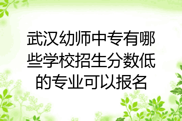 武汉幼师中专有哪些学校招生分数低的专业可以报名
