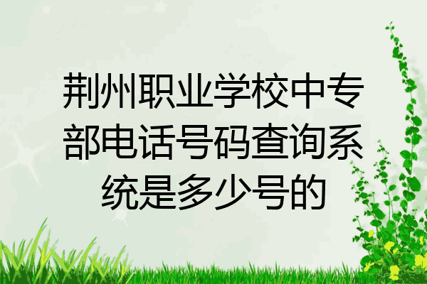 荆州职业学校中专部电话号码查询系统是多少号的