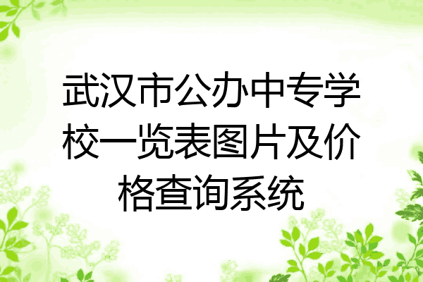 武汉市公办中专学校一览表图片及价格查询系统