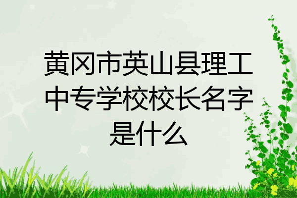 黄冈市英山县理工中专学校校长名字是什么