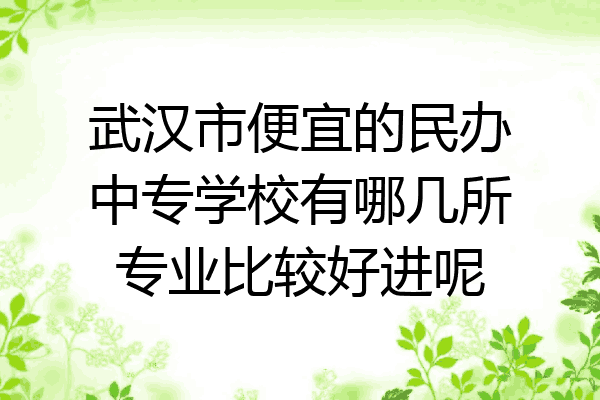 武汉市便宜的民办中专学校有哪几所专业比较好进呢