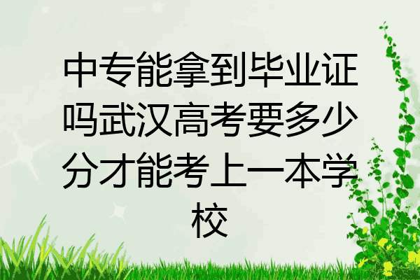 中专能拿到毕业证吗武汉高考要多少分才能考上一本学校