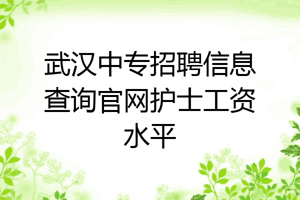 武汉中专招聘信息查询官网护士工资水平
