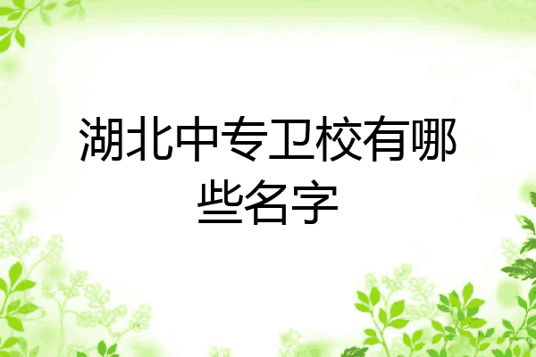 湖北中专卫校有哪些名字