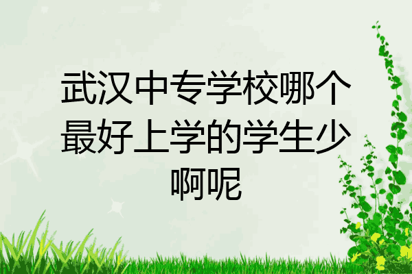 武汉中专学校哪个最好上学的学生少啊呢