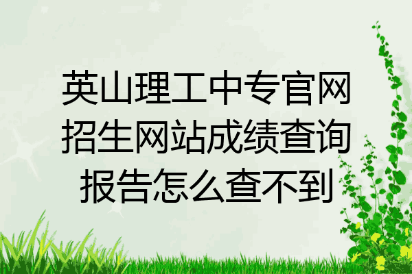 英山理工中专官网招生网站成绩查询报告怎么查不到