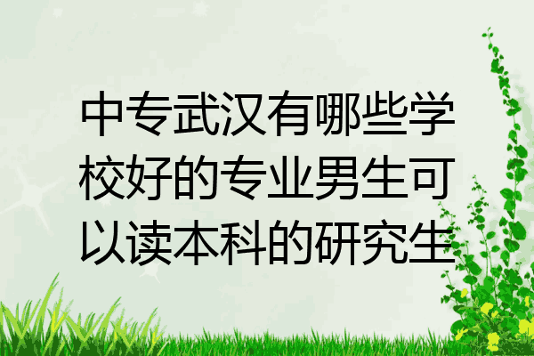 中专武汉有哪些学校好的专业男生可以读本科的研究生