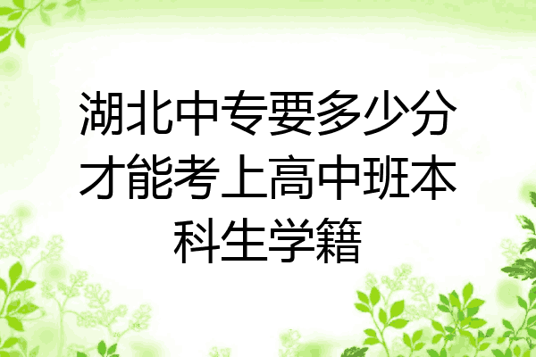 湖北中专要多少分才能考上高中班本科生学籍
