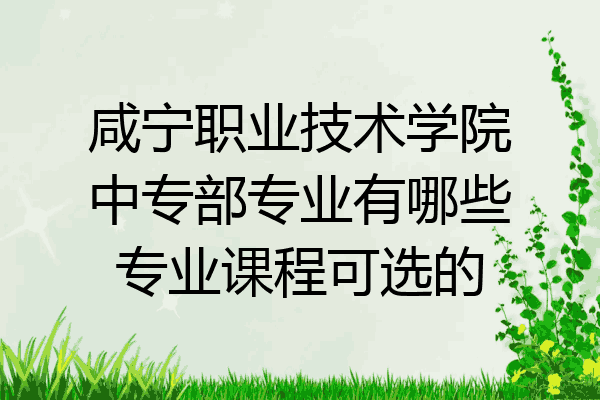 咸宁职业技术学院中专部专业有哪些专业课程可选的