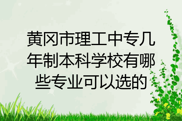 黄冈市理工中专几年制本科学校有哪些专业可以选的