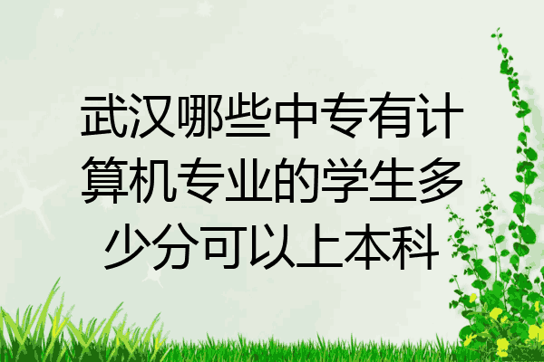武汉哪些中专有计算机专业的学生多少分可以上本科