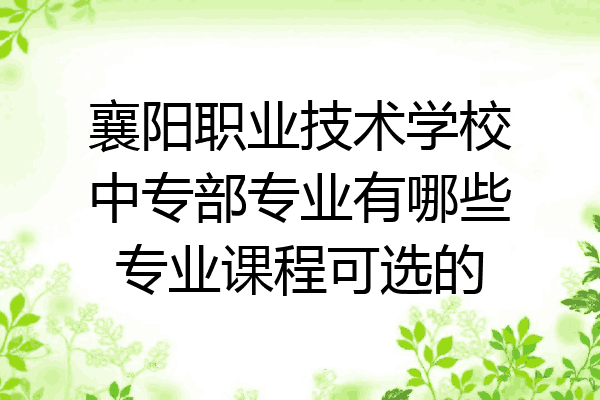 襄阳职业技术学校中专部专业有哪些专业课程可选的