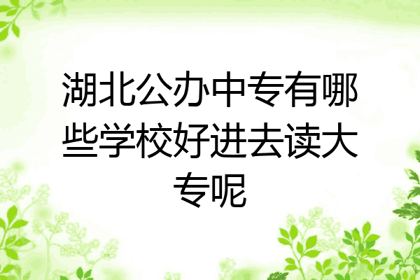 湖北公办中专有哪些学校好进去读大专呢