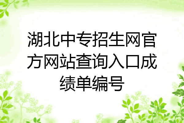 湖北中专招生网官方网站查询入口成绩单编号