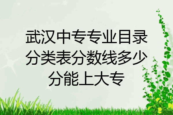 武汉中专专业目录分类表分数线多少分能上大专