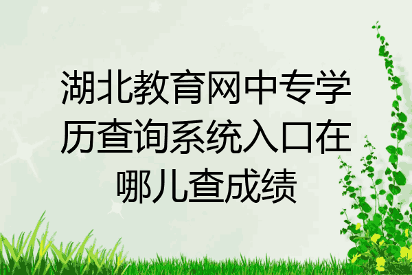 湖北教育网中专学历查询系统入口在哪儿查成绩