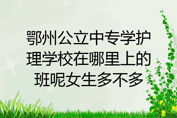 鄂州公立中专学护理学校在哪里上的班呢女生多不多