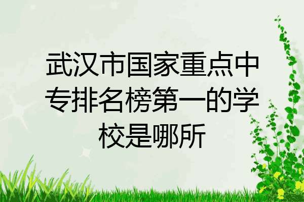 武汉市国家重点中专排名榜第一的学校是哪所