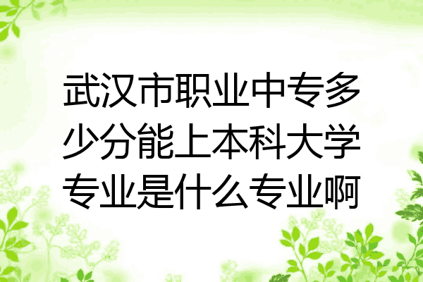 武汉市职业中专多少分能上本科大学专业是什么专业啊