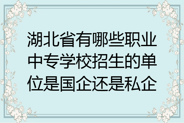 湖北省有哪些职业中专学校招生的单位是国企还是私企