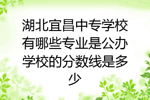 湖北宜昌中专学校有哪些专业是公办学校的分数线是多少