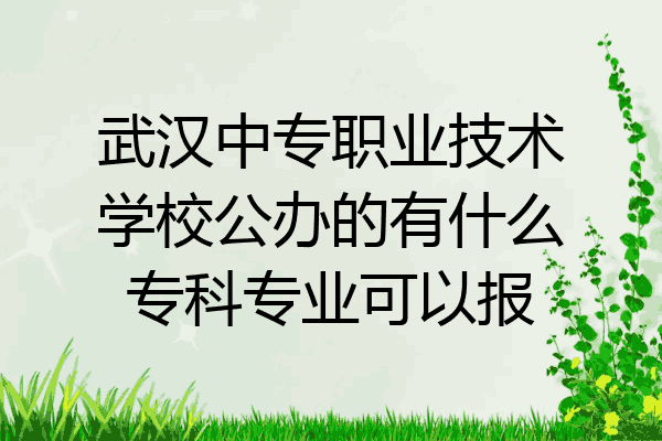 武汉中专职业技术学校公办的有什么专科专业可以报