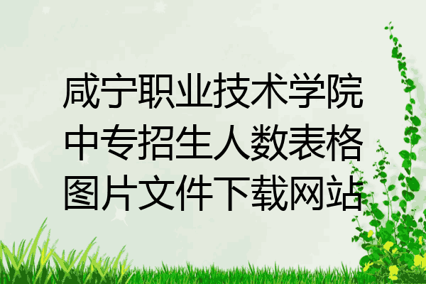 咸宁职业技术学院中专招生人数表格图片文件下载网站