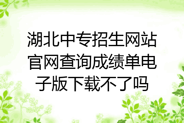 湖北中专招生网站官网查询成绩单电子版下载不了吗